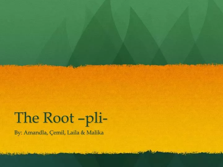 the root pli