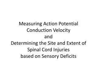 Neuromuscular Junctions (NMJs) and Synaptic Delay