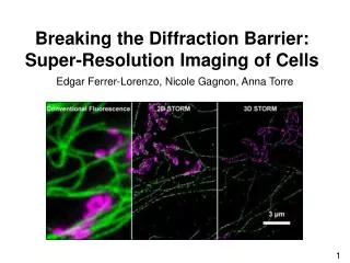 Breaking the Diffraction Barrier: Super-Resolution Imaging of Cells