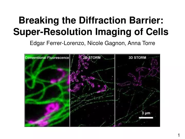 breaking the diffraction barrier super resolution imaging of cells