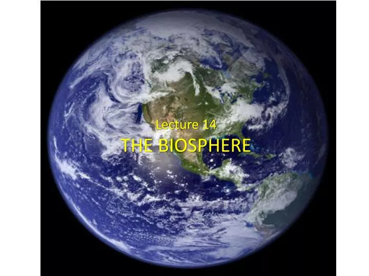 lecture 14 the biosphere