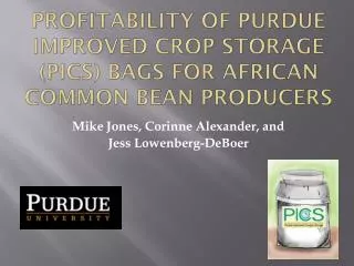 Profitability of purdue improved crop storage (PICS) bags for african common bean producers