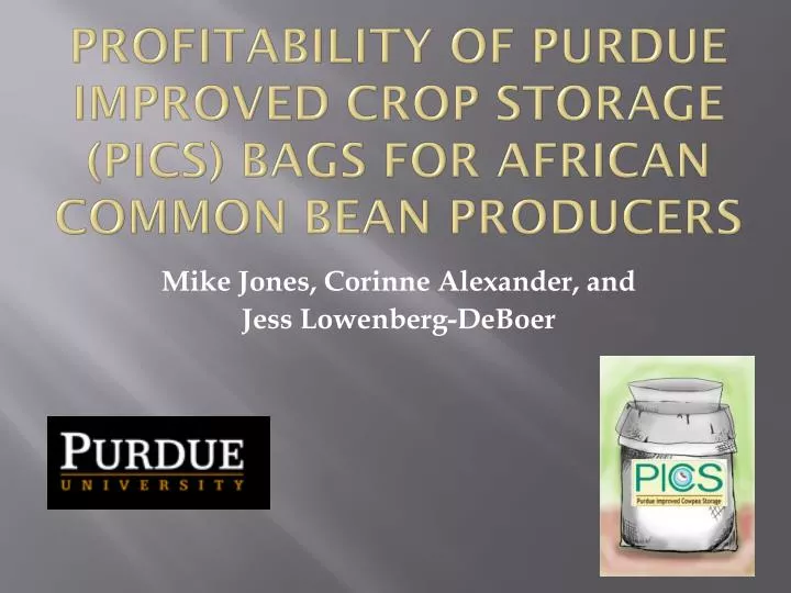 profitability of purdue improved crop storage pics bags for african common bean producers