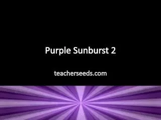 Purple Sunburst 2