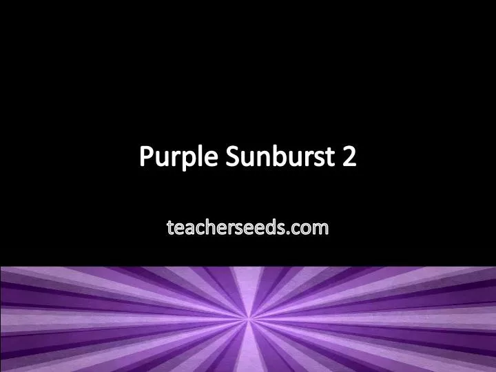 purple sunburst 2