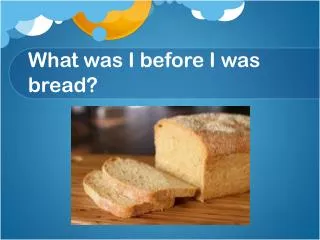 What was I before I was bread?