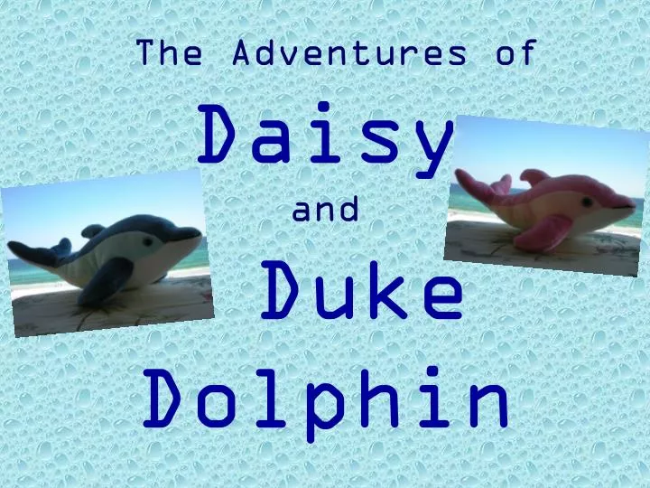 the adventures of daisy and duke dolphin