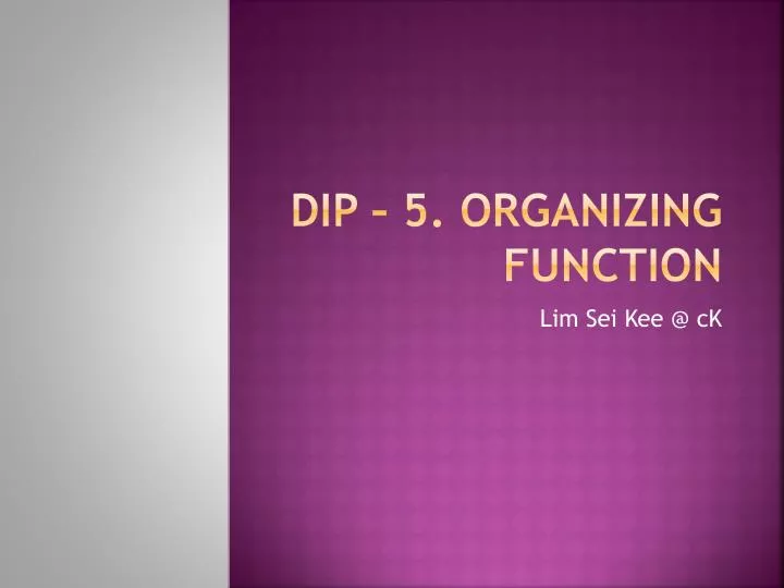 dip 5 organizing function