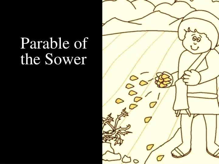 parable of the sower clipart