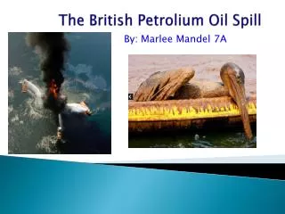 The British Petrolium Oil Spil l