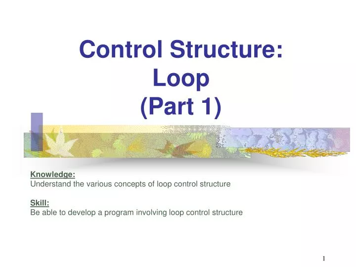 control structure loop part 1