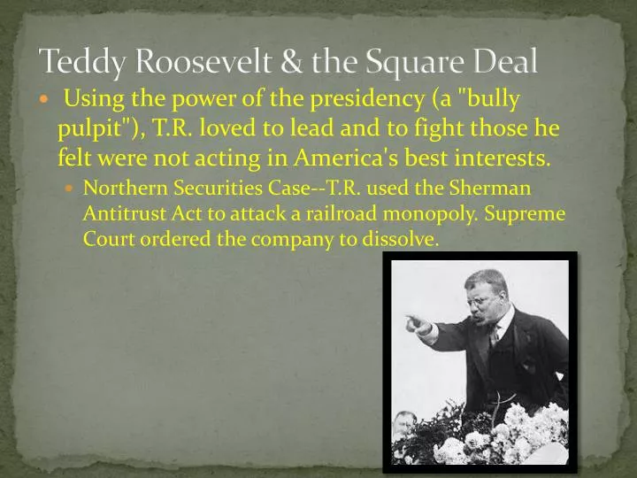 teddy roosevelt the square deal