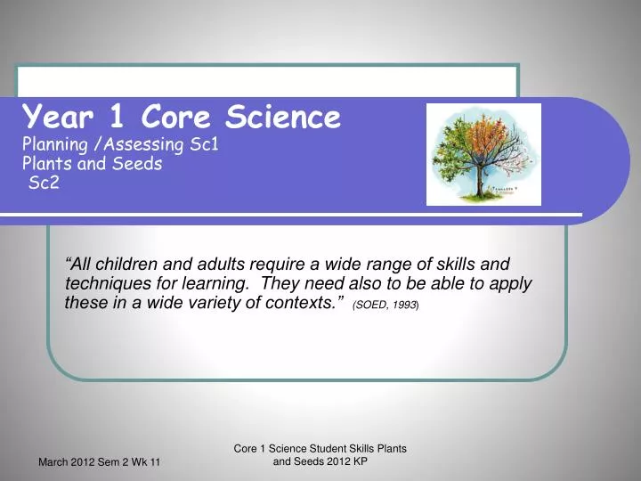 year 1 core science planning assessing sc1 plants and seeds sc2