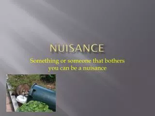 nuisance