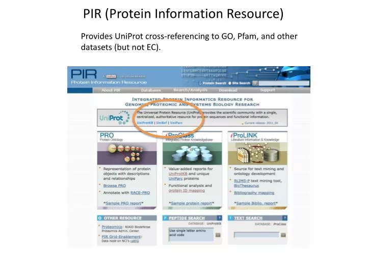 pir protein information resource