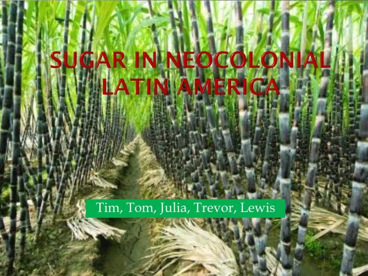 sugar in neocolonial latin america