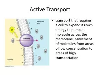 Active Transport