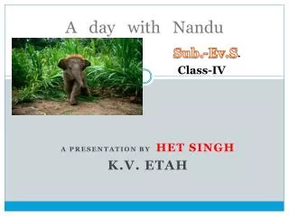 A day with Nandu