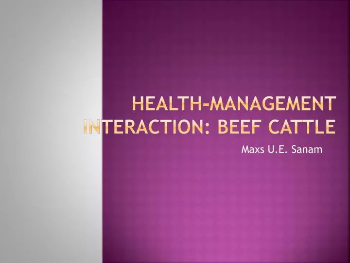 health management interaction beef cattle