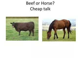 Beef or Horse? Cheap talk