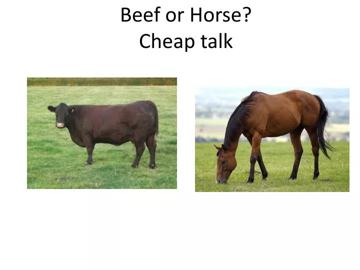 beef or horse cheap talk