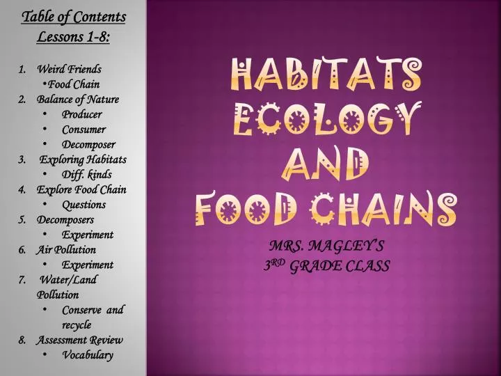 habitats ecology and food chains mrs magley s 3 rd grade class