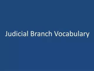 Judicial Branch Vocabulary
