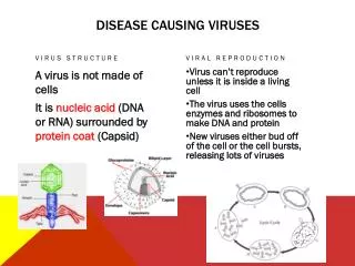 Disease causing viruses