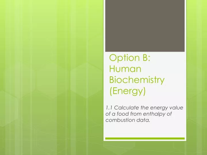 option b human biochemistry energy