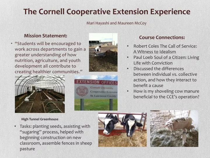 the cornell cooperative extension experience mari hayashi and maureen mccoy
