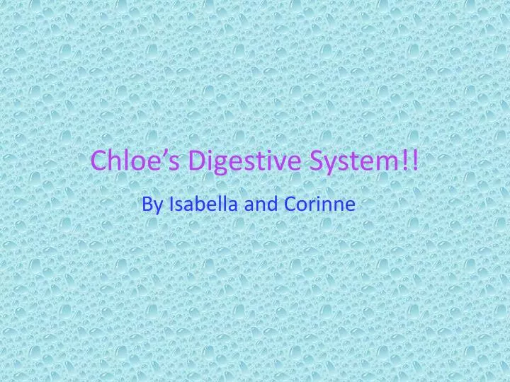 chloe s digestive system