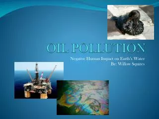 OIL POLLUTION