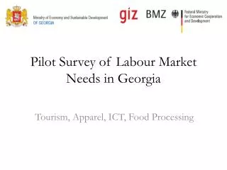Pilot Survey of Labour Market Needs in Georgia