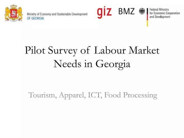 pilot survey of labour market needs in georgia