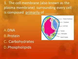 DNA Protein Carbohydrates Phospholipids