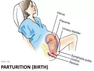 PARTURITION (Birth)