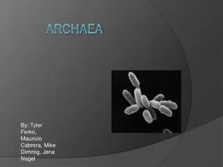 archaea