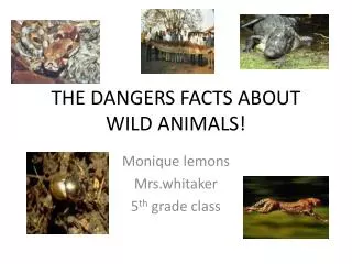 THE DANGERS FACTS ABOUT WILD ANIMALS!