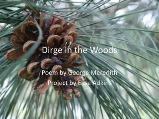 Dirge in the Woods