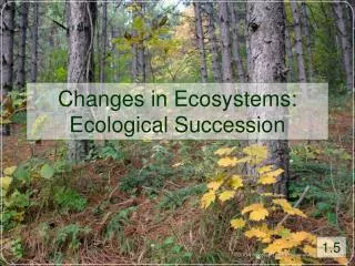 changes in ecosystems ecological succession