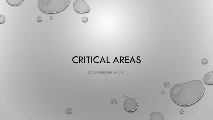 critical areas