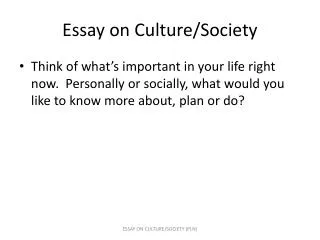 Essay on Culture/Society