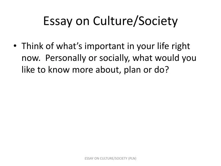 essay on culture society