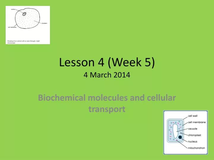 lesson 4 week 5 4 march 2014