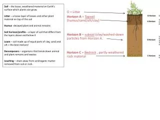 O = Litter Horizon A = Topsoil (humus/sand/silt/clay)