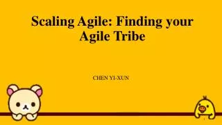 Scaling Agile: Finding your Agile Tribe