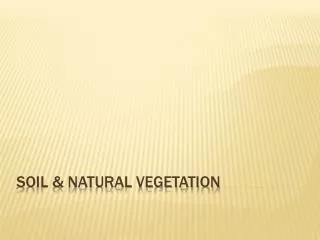 SOIL &amp; NATURAL VEGETATION
