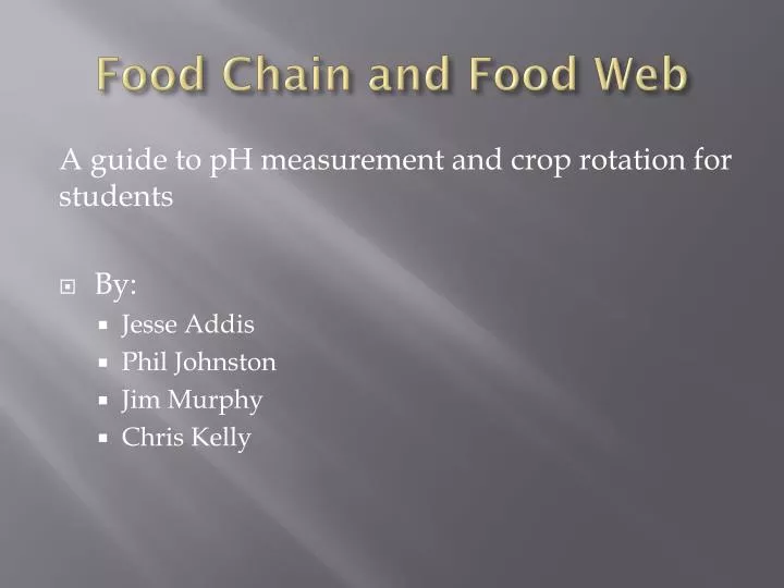 food chain and food web