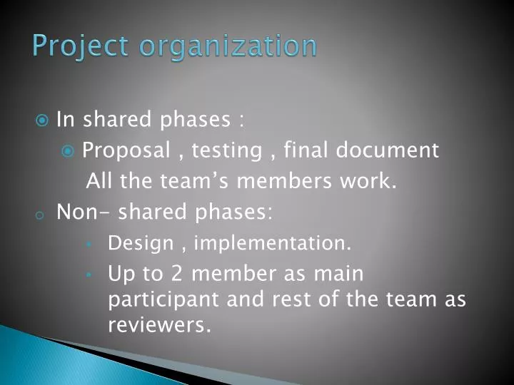 project organization