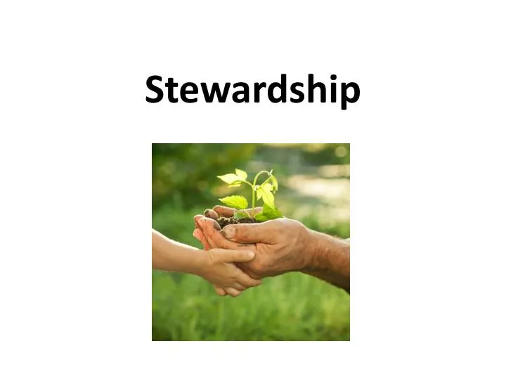 stewardship